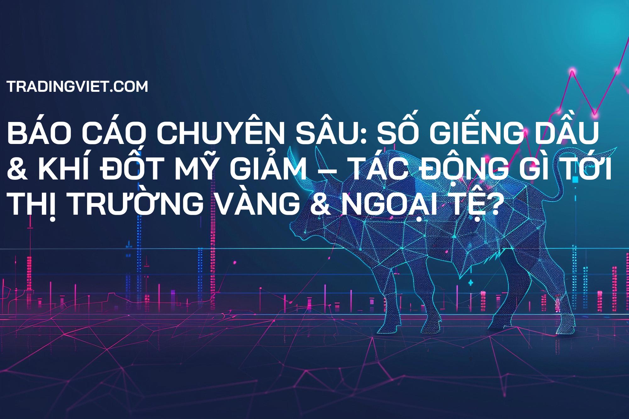 Báo cáo Chuyên Sâu: Số Giếng Dầu & Khí Đốt Mỹ Giảm – Tác Động Gì Tới Thị Trường Vàng & Ngoại Tệ?