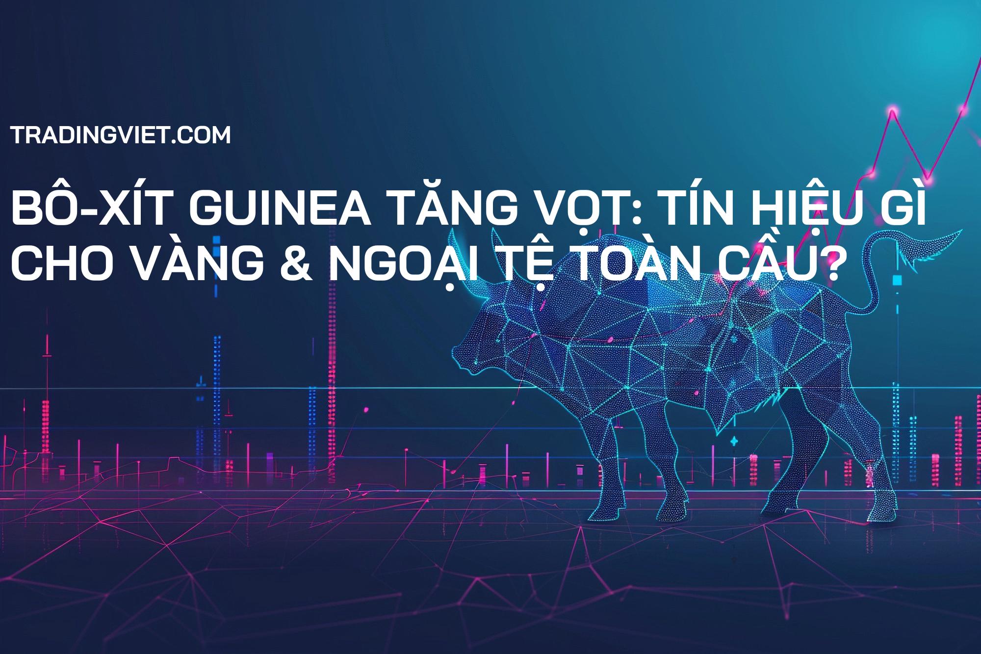 Bô-xít Guinea Tăng Vọt: Tín Hiệu Gì Cho Vàng & Ngoại Tệ Toàn Cầu?