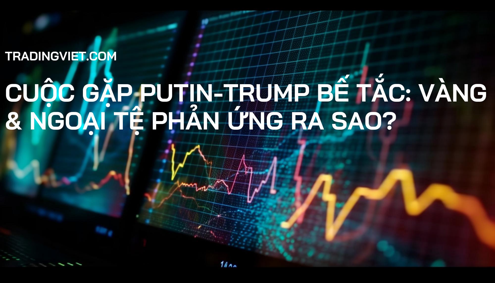 Cuộc Gặp Putin-Trump Bế Tắc: Vàng & Ngoại Tệ Phản Ứng Ra Sao?