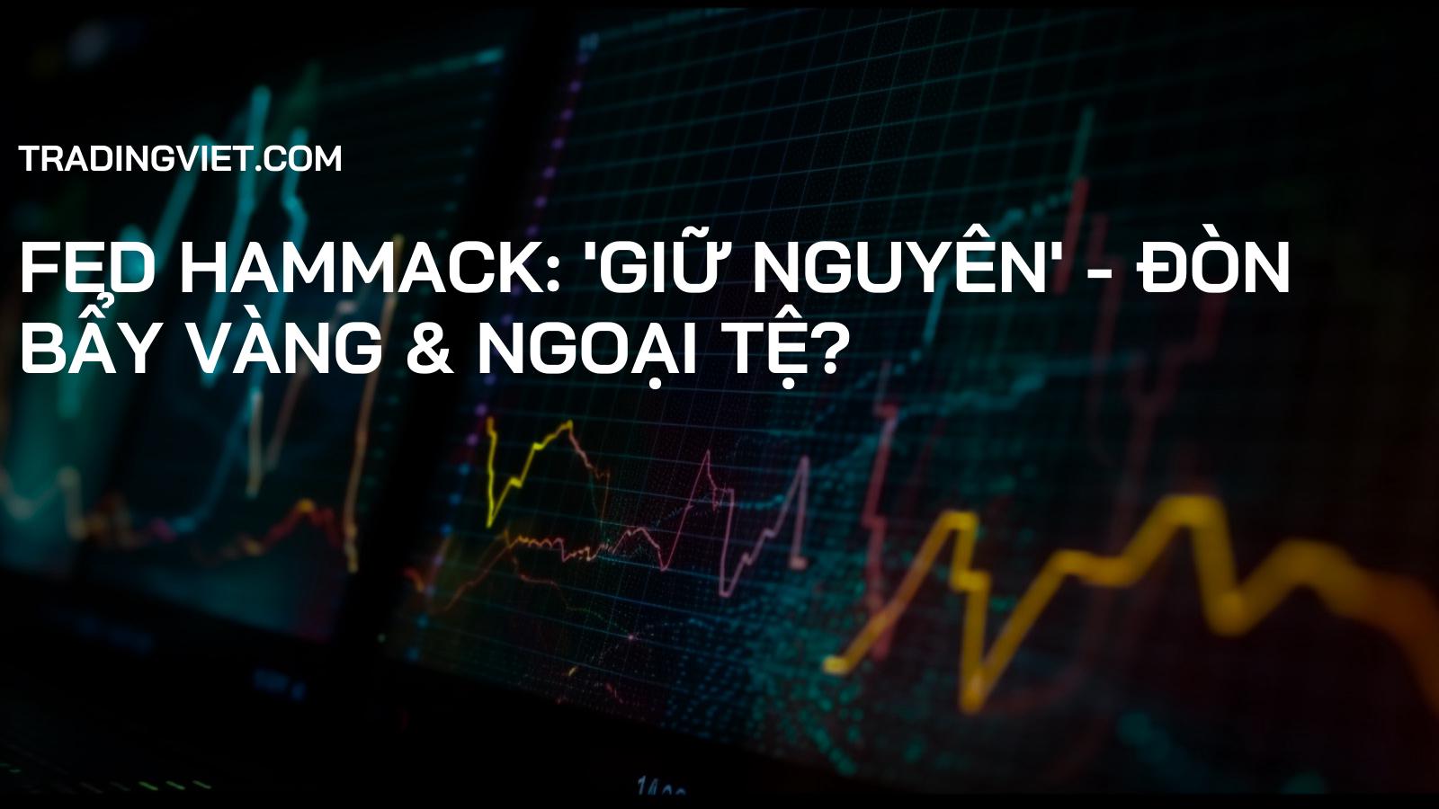 Fed Hammack: 'Giữ Nguyên' - Đòn Bẩy Vàng & Ngoại Tệ?