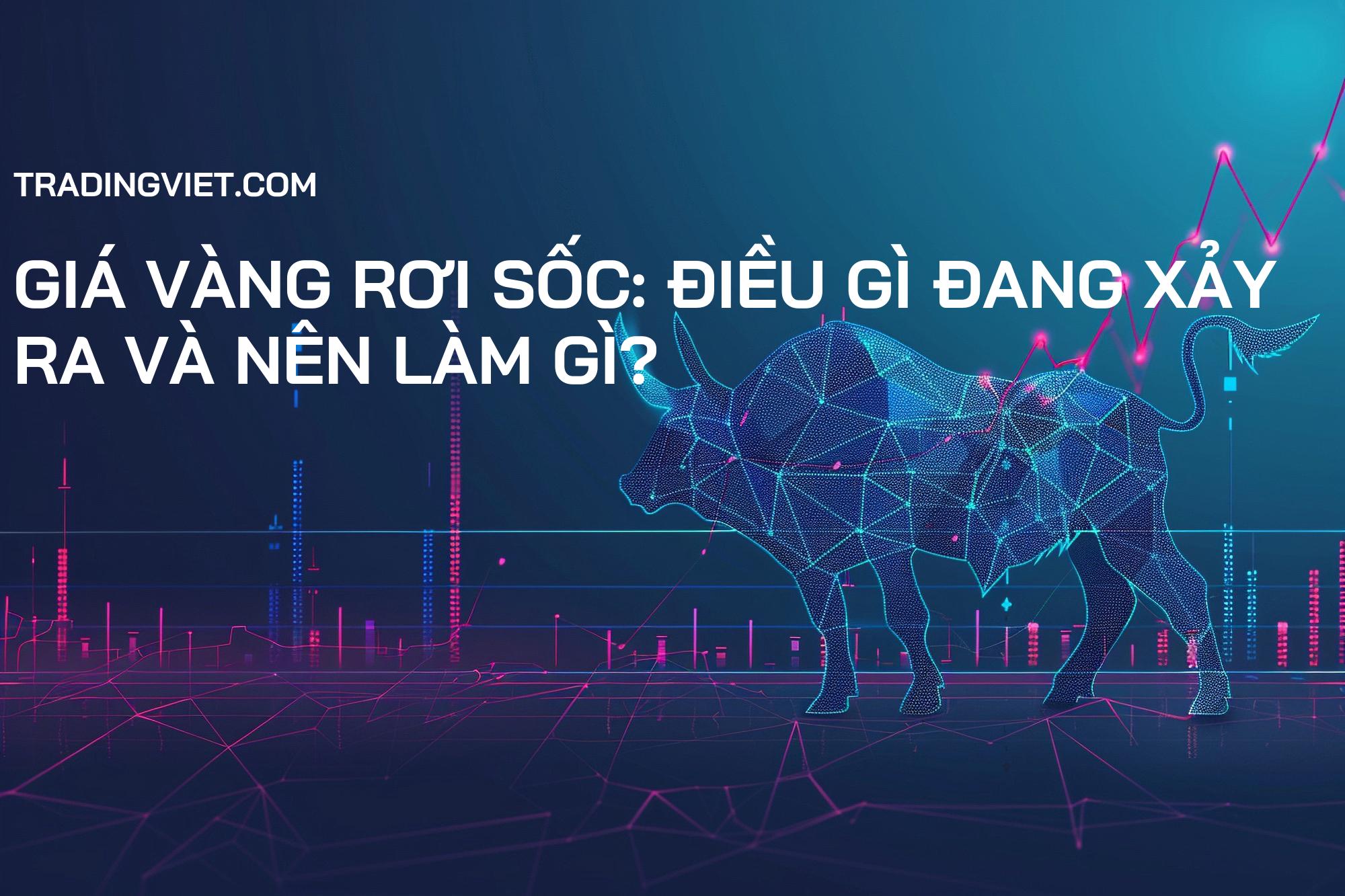 Giá Vàng Rơi Sốc: Điều Gì Đang Xảy Ra và Nên Làm Gì?