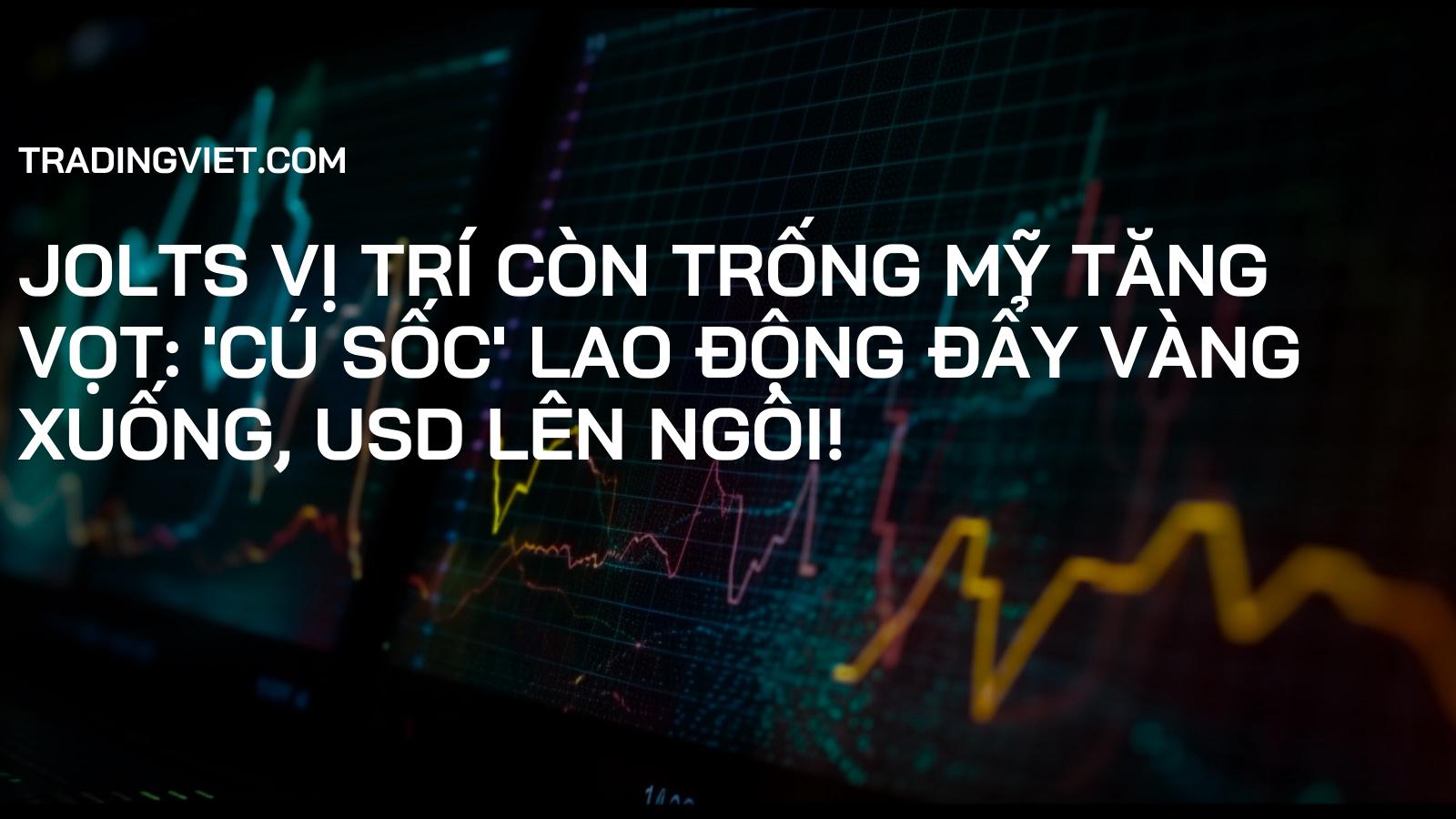 JOLTs Vị Trí Còn Trống Mỹ Tăng Vọt: 'Cú Sốc' Lao Động Đẩy Vàng Xuống, USD Lên Ngôi!