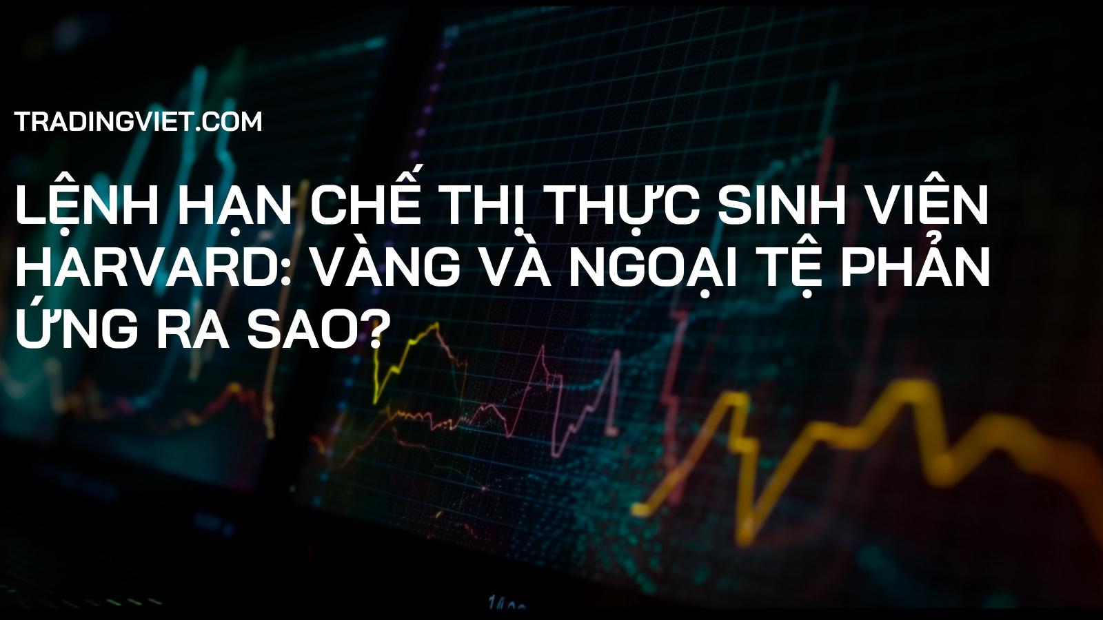 Lệnh Hạn Chế Thị Thực Sinh Viên Harvard: Vàng và Ngoại Tệ Phản Ứng Ra Sao?