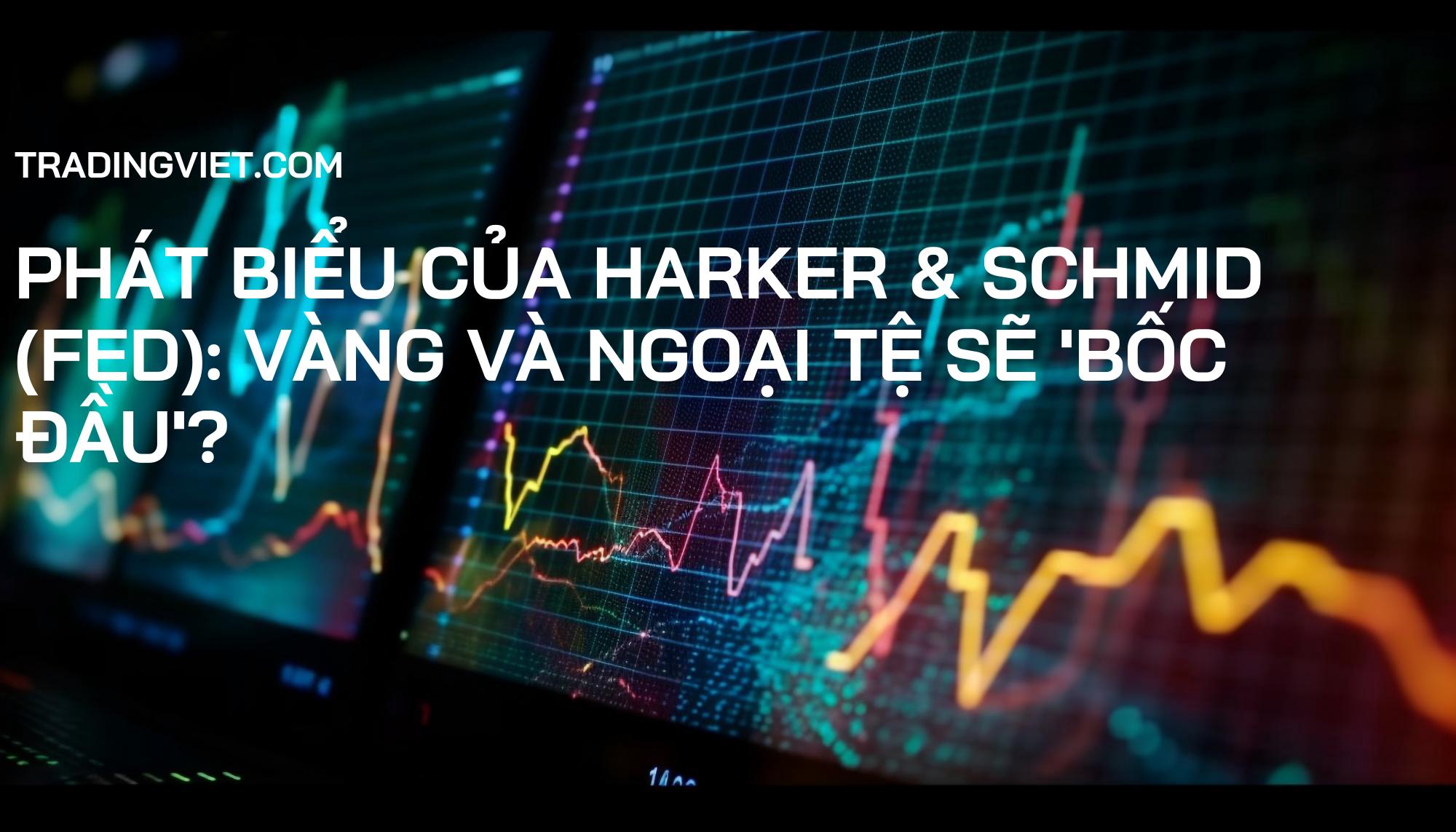 Phát biểu của Harker & Schmid (Fed): Vàng và Ngoại tệ Sẽ 'Bốc Đầu'?