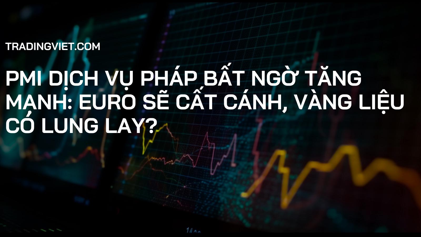 PMI Dịch Vụ Pháp Bất Ngờ Tăng Mạnh: Euro Sẽ Cất Cánh, Vàng Liệu Có Lung Lay?
