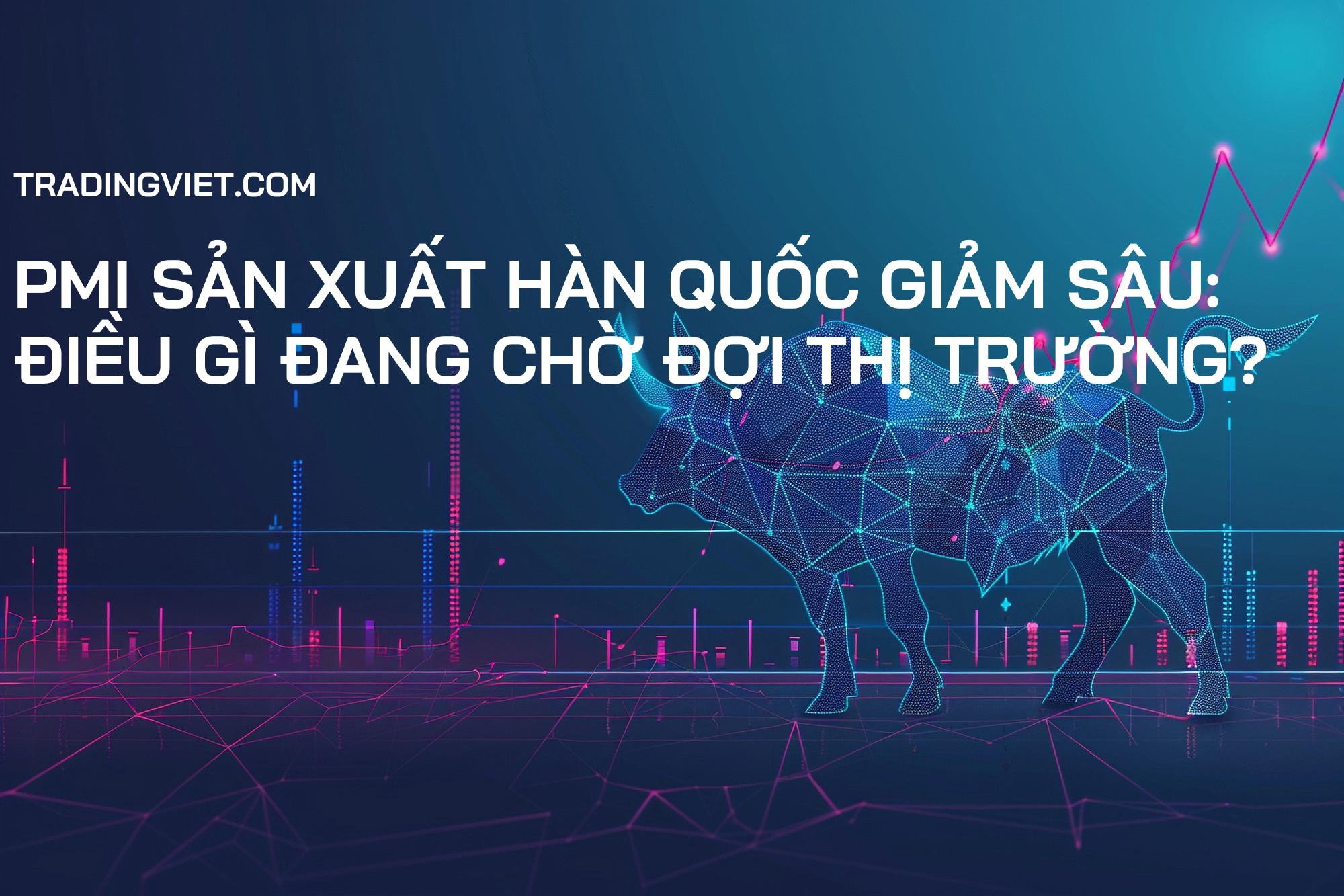 PMI Sản Xuất Hàn Quốc Giảm Sâu: Điều Gì Đang Chờ Đợi Thị Trường?
