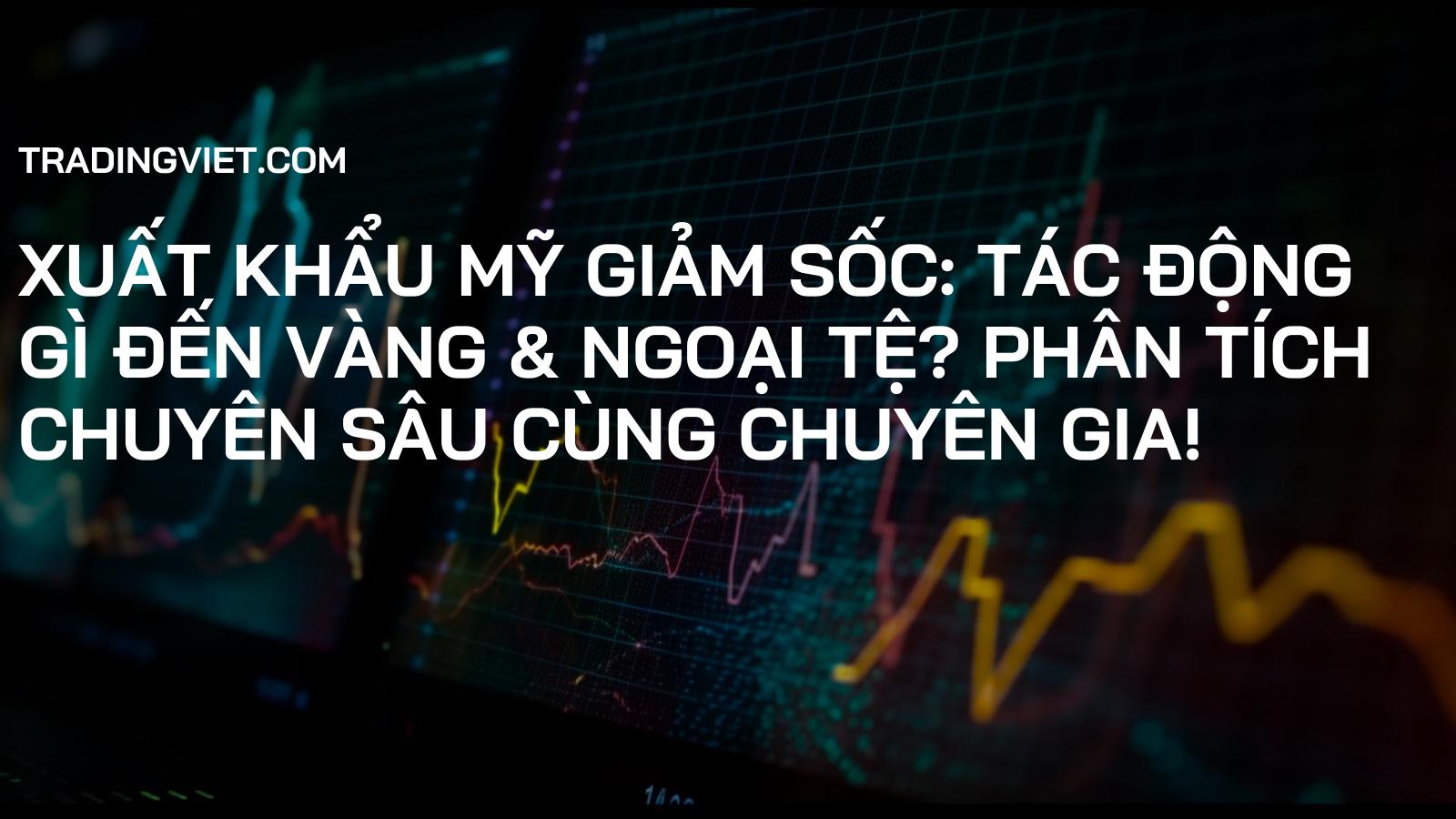 Xuất khẩu Mỹ Giảm Sốc: Tác Động Gì Đến Vàng & Ngoại Tệ? Phân Tích Chuyên Sâu Cùng Chuyên Gia!